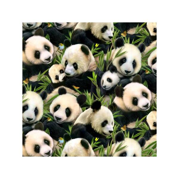 Panda Bears