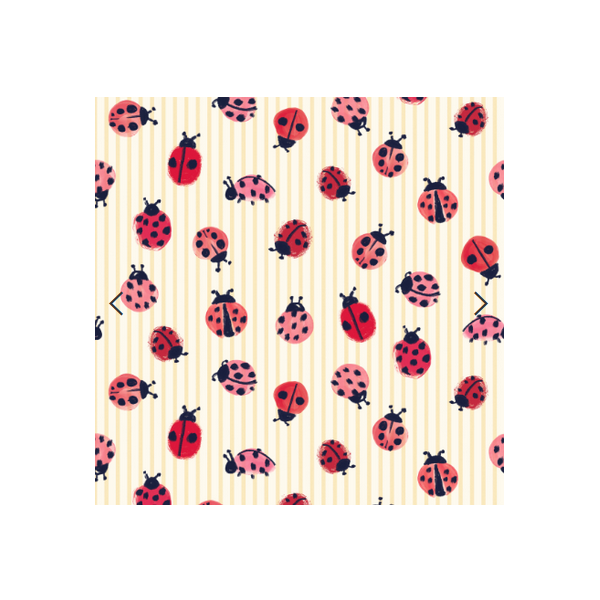 Poppy Little Ladybirds