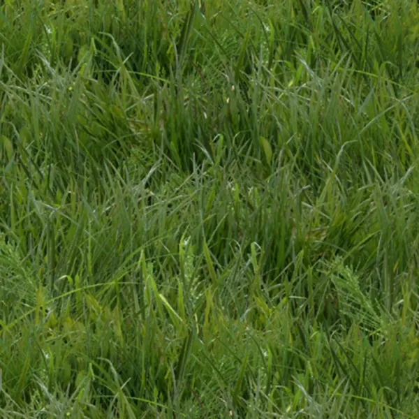 Landscape Medley Gras