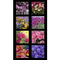 Garden Of Life, Blumen (Panel)
