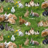 Farm Animals Rabbits green