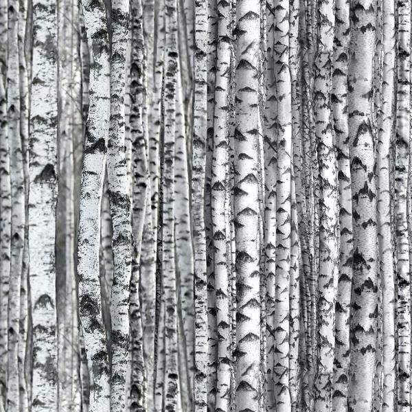 Landscape Medley Birch Trees Gray