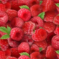 Berry Good Rasperries