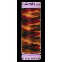 Mettler, Silk Finish Cotton Multi Nr. 50, 9863 Elegante