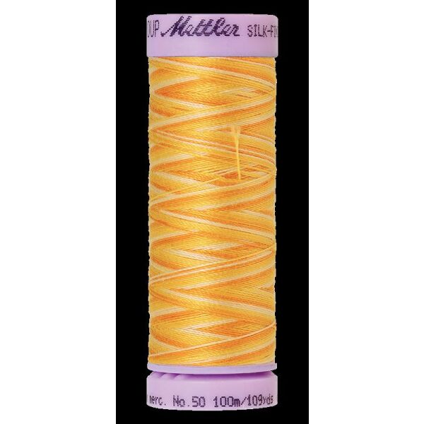 Mettler, Silk Finish Cotton Multi Nr. 50, 9827 Horizon