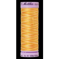 Mettler, Silk Finish Cotton Multi Nr. 50, 9827 Horizon
