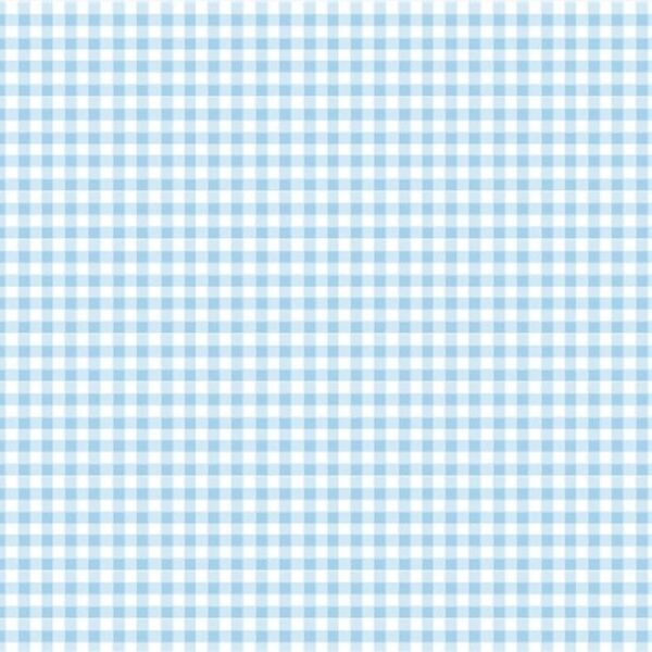 New Gingham Light Blue