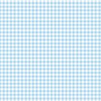 New Gingham Light Blue