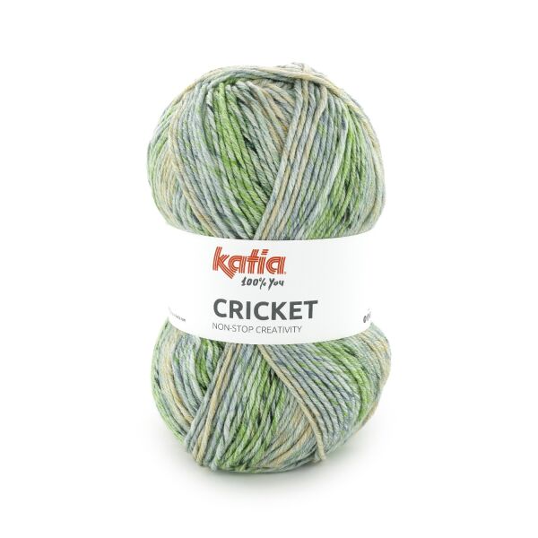 Katia, Cricket