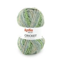 Katia, Cricket