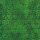 Mixed Metallic, Evergreen