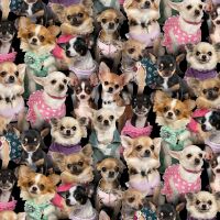Best Friend, Chihuahuas Multi
