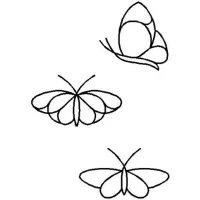 Butterflies, 5 cm und 6,4 cm