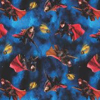 Harry Potter, Playing Quidditch Blue