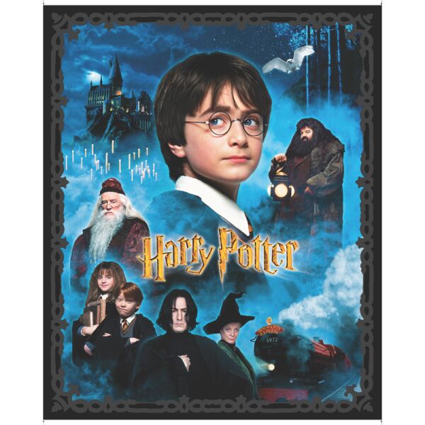 Harry Potter, Panel Multi