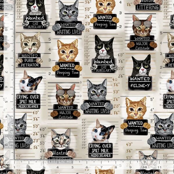 Cat Mugshots, Beige