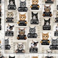 Cat Mugshots, Beige